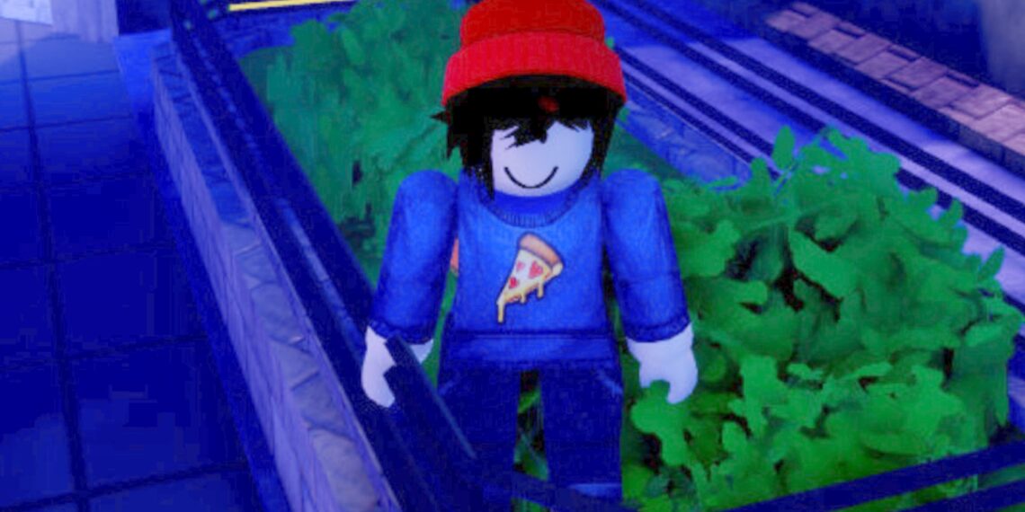 Anime Defenders codes June 2024