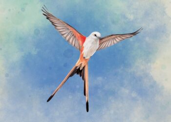 Wingspan swoops onto PlayStation on October 11 – PlayStation.Weblog