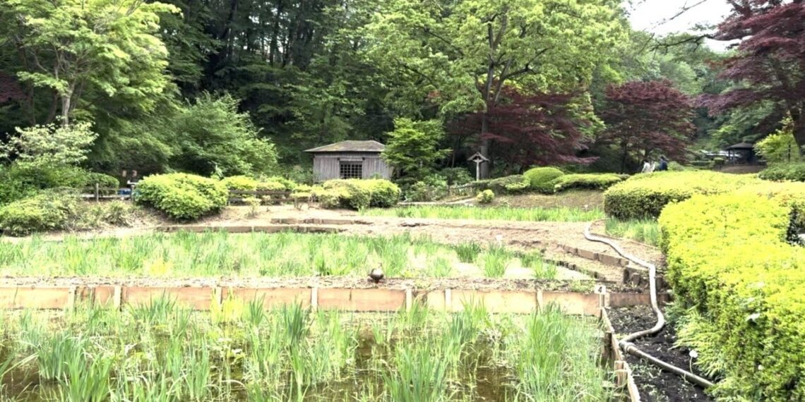 A Travel To Machida, The Actual-Existence ‘Pallet The city’ That Impressed Pokémon