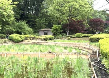 A Travel To Machida, The Actual-Existence ‘Pallet The city’ That Impressed Pokémon