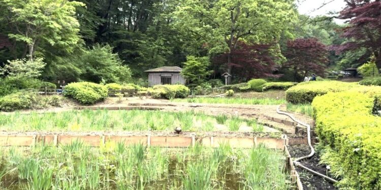 A Travel To Machida, The Actual-Existence ‘Pallet The city’ That Impressed Pokémon