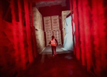 In paranoia pot-boiler Gangstalk you’re the individual chasing you