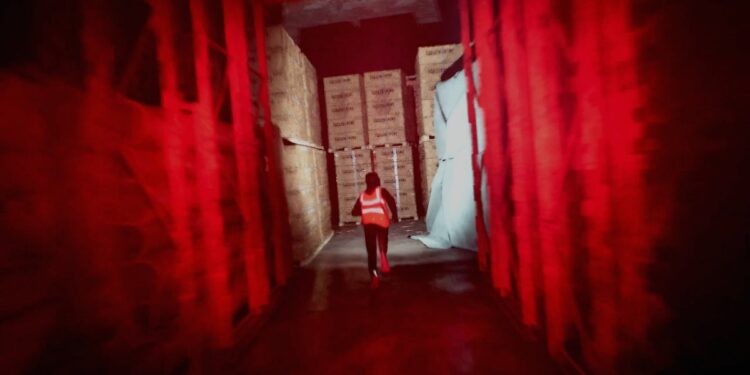 In paranoia pot-boiler Gangstalk you’re the individual chasing you