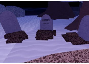 Fisch Witch Components Information – Droid Players