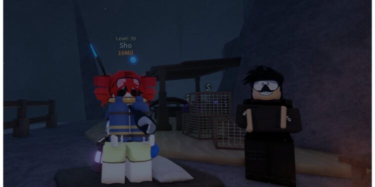 Fisch Diving Equipment Information – Which To Use!