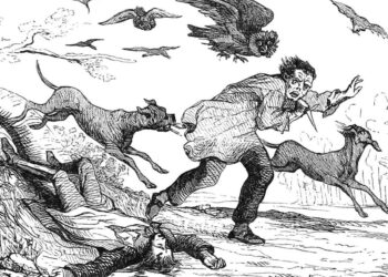 What are all of us enjoying this weekend?