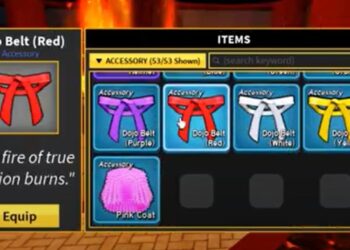 Blox End result Pink Belt Information