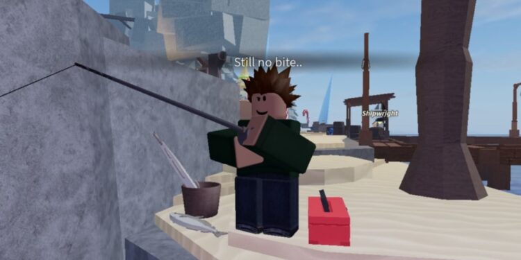 Fisch Whisker Invoice Information – Droid Players