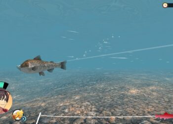 Assessment: Reel Fishing: Days of Summer season (Nintendo Transfer)