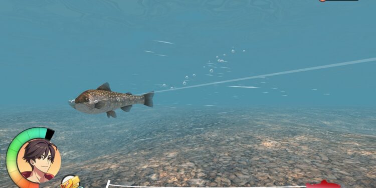 Assessment: Reel Fishing: Days of Summer season (Nintendo Transfer)