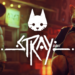 Evaluation: Stray (Nintendo Transfer) – Natural Nintendo