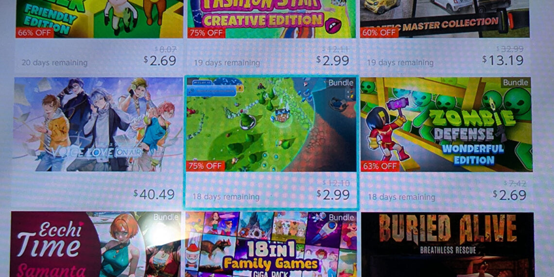 2024 In Assessment: All My Homies Hate The eShop – Editorial