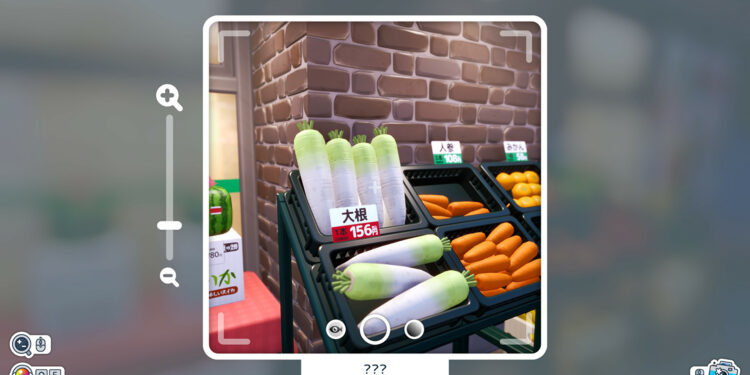 Sashingo: Be informed Jap With Images Evaluation – Evaluation