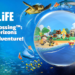 The Animal Crossing: New Horizons collaboration match at SEA LIFE UK kicks off in February! | Information
