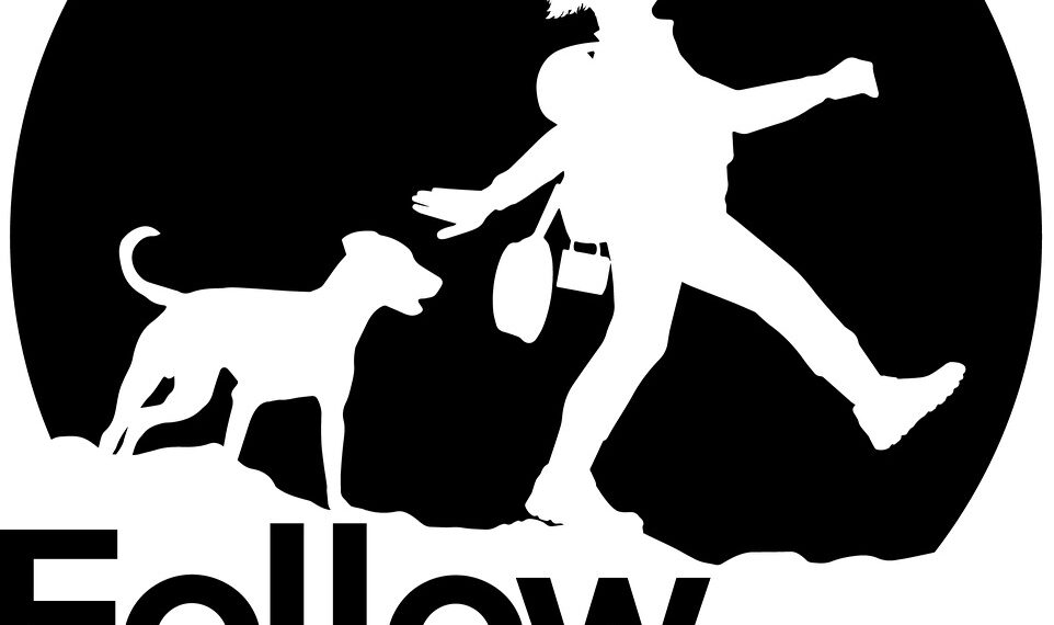 Afterlove EP Assessment – Assessment