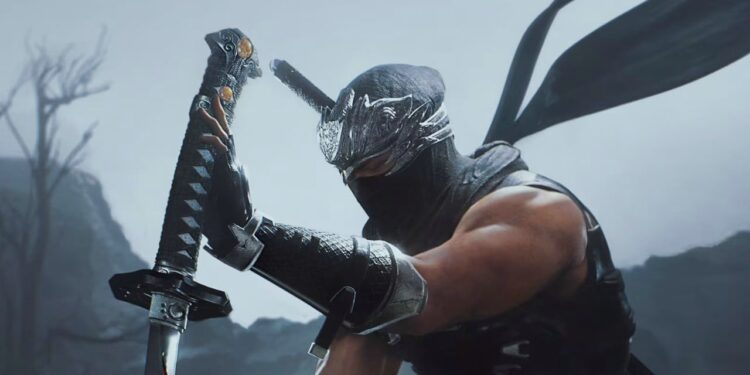 Ninja Gaiden 2 Black Evaluate (PS5)