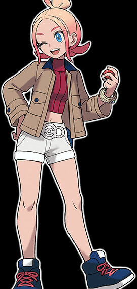 Different Bulletins From The Pokemon Gifts – Information