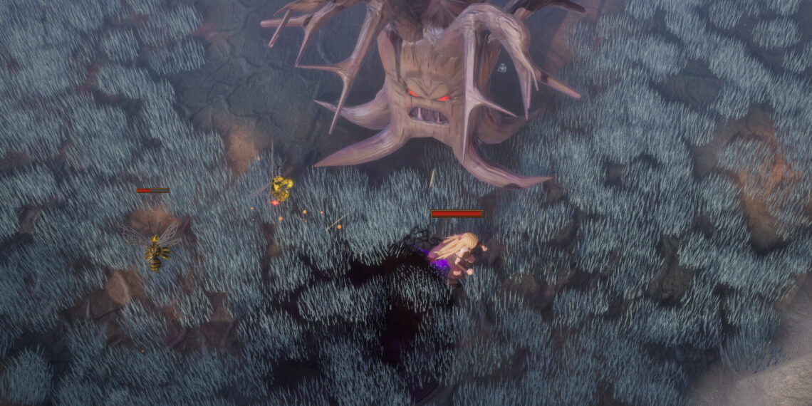 Raia Nova readies for struggle