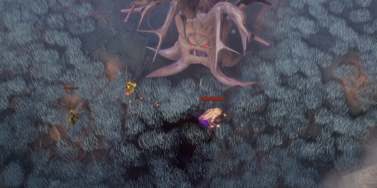 Raia Nova readies for struggle