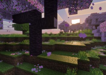 Minecraft: Colourful Visuals Transforms the Sport Into What You’ve All the time Imagined in Your Head