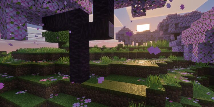 Minecraft: Colourful Visuals Transforms the Sport Into What You’ve All the time Imagined in Your Head
