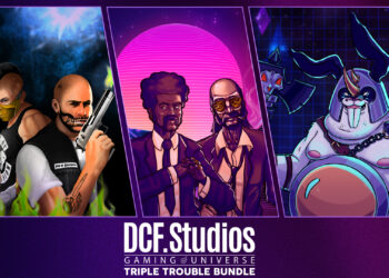 The Chaos Concept of the DCF Universe