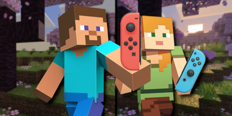 This new Minecraft characteristic is game-changing for Nintendo Transfer gamers