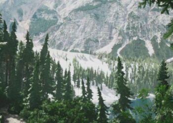 Lushfoil Images Sim Evaluation (PS5)