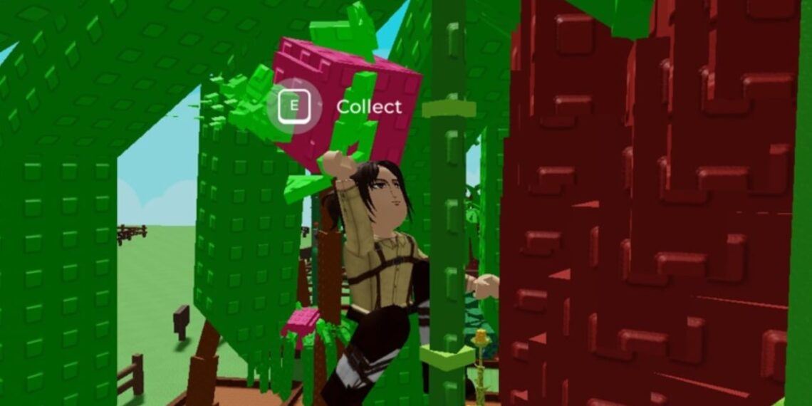 Develop A Lawn Watering Can Information – What Does It Do?