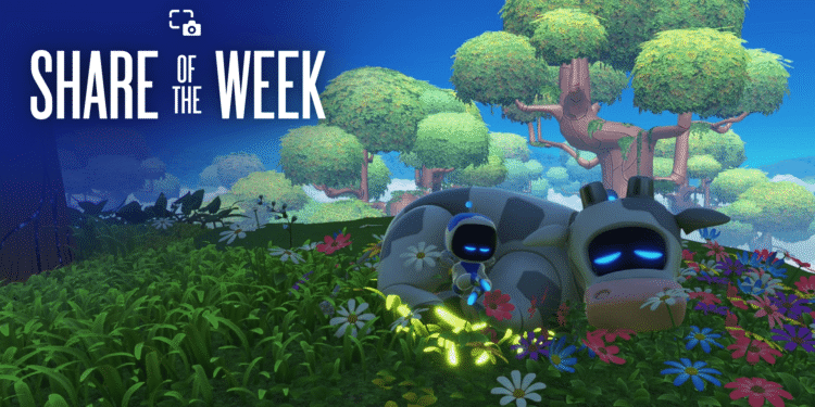 Proportion of the Week: Nature – PlayStation.Weblog