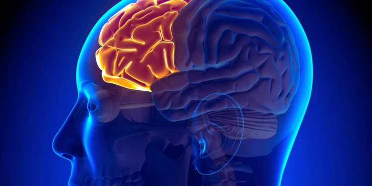 Open-Supply Gear to Document and Regulate Lucid Dreaming!