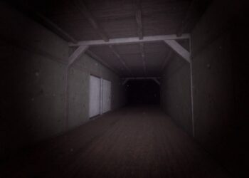 How To Play PETAPETA – A Newbie’s Information