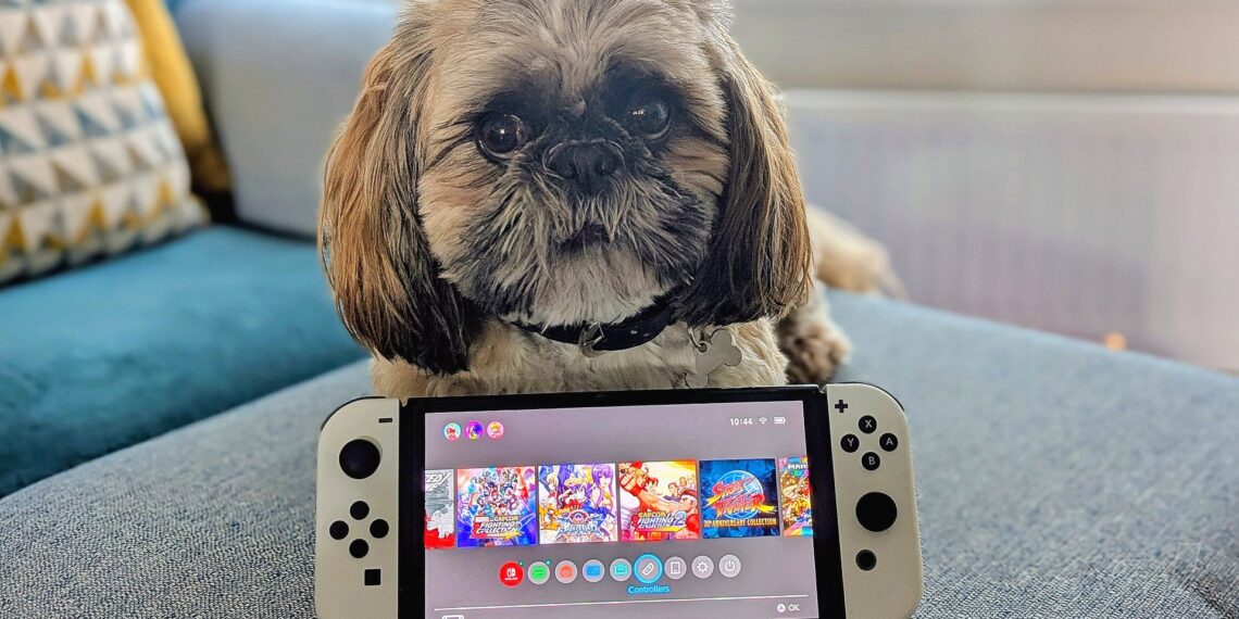 Farewell, Nintendo Transfer – It is In spite of everything Time To Bid Our Outdated Good friend ‘Adieu’