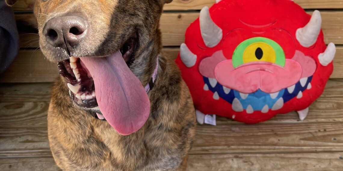 How DOOM: The Bark Ages Helps Animal Welfare Organizations