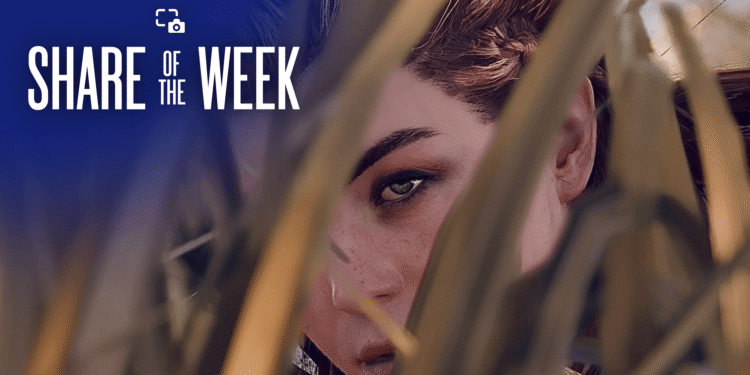 Proportion of the Week: Stealth – PlayStation.Weblog