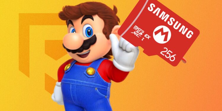 Best possible micro SD Categorical playing cards for Nintendo Transfer 2 in 2025