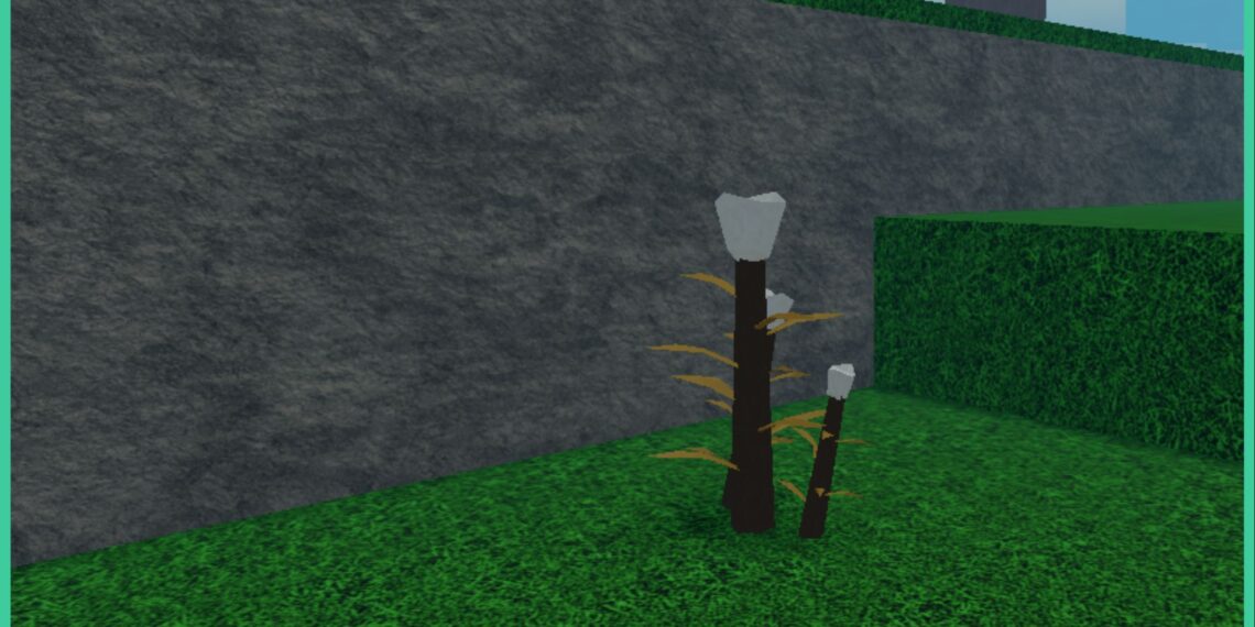 The best way to Get Flax in Rune Slayer – Flax Location – Gamezebo