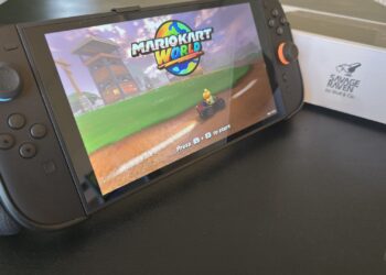 Overview: Savage Raven Through Cranium & Co. NeoGrip For Nintendo Transfer 2 – Does The Task Very Effectively