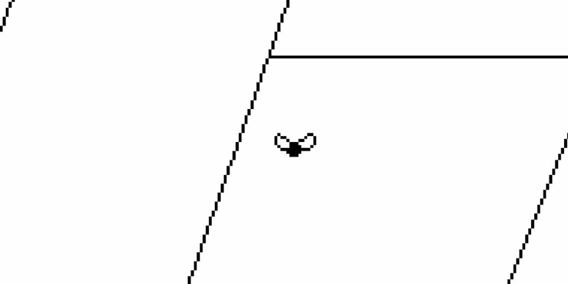 Time Flies Assessment (PS5) | Push Sq.