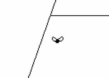 Time Flies Assessment (PS5) | Push Sq.