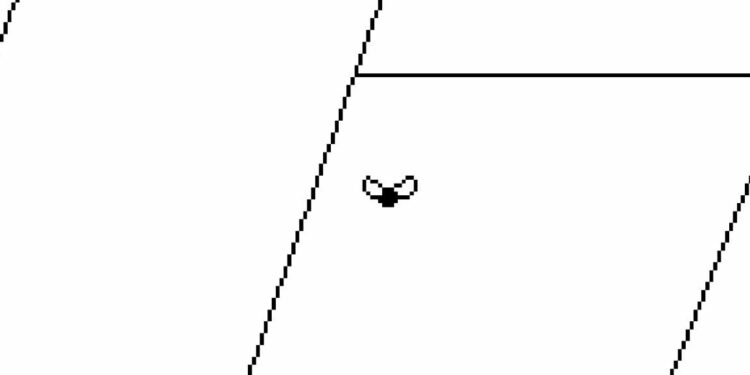 Time Flies Assessment (PS5) | Push Sq.