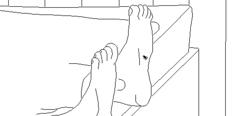 Time Flies lands on PS5 on July 31 – PlayStation.Weblog