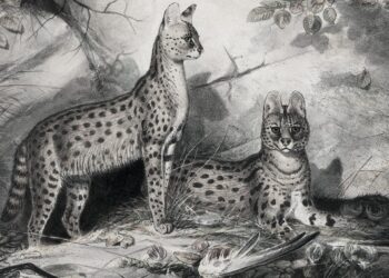 What are all of us enjoying this weekend?