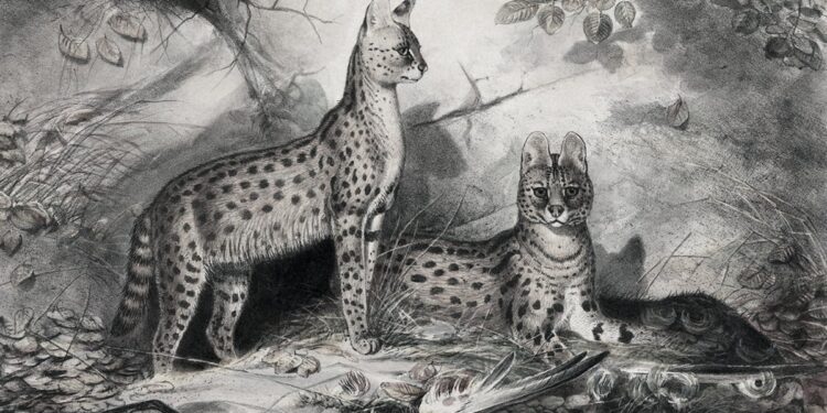 What are all of us enjoying this weekend?