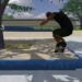 PushSB is a New Skateboarding Sim with A couple of Maps and Options