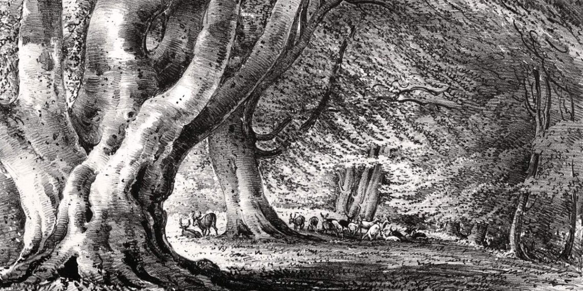 What are all of us taking part in this weekend?