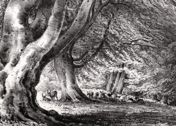 What are all of us taking part in this weekend?