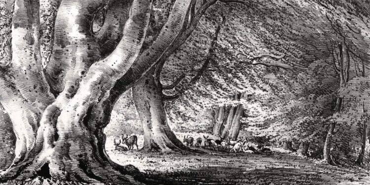 What are all of us taking part in this weekend?