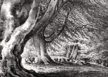 What are all of us enjoying this weekend?