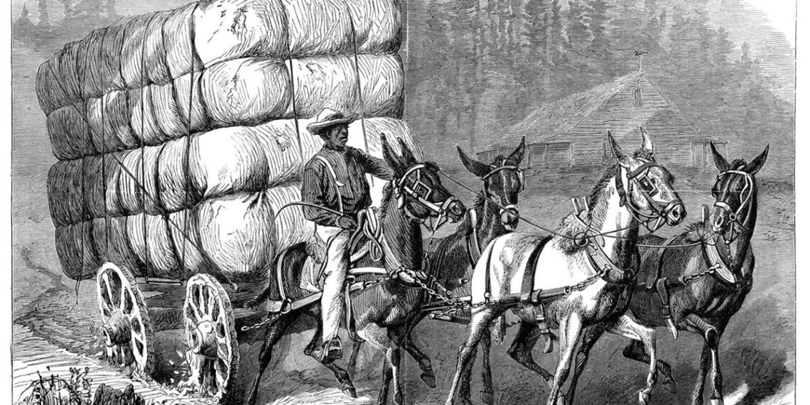 What are all of us taking part in this weekend?